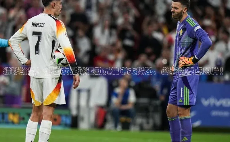 365英国官网登录入口华扬联众精彩纷呈！外国女足球运动员集锦大揭秘，必看的亮点图片！