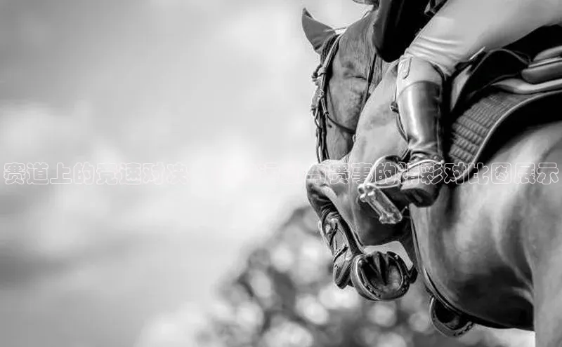 赛道上的竞速对决：赛车运动与赛事的精彩对比图展示