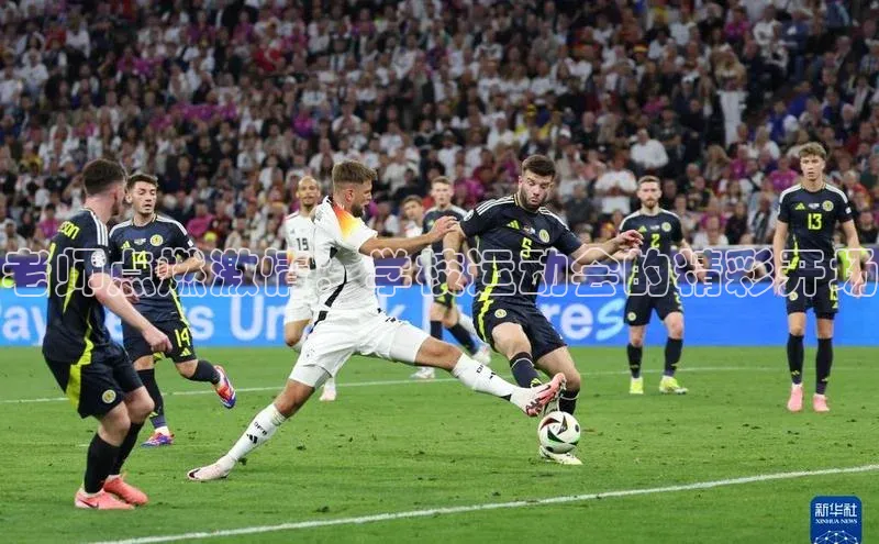 老师点燃激情：学校运动会的精彩开场