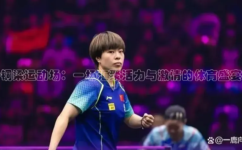 铜梁运动场：一场汇聚活力与激情的体育盛宴