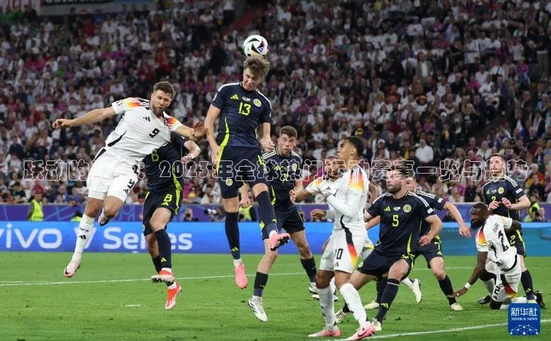 跃动的激情：2023年全球热门运动赛事一览与趋势