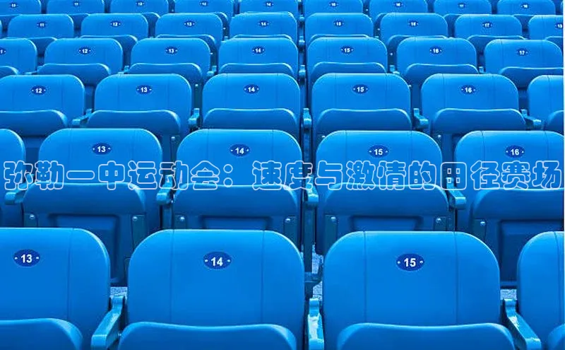 弥勒一中运动会：速度与激情的田径赛场