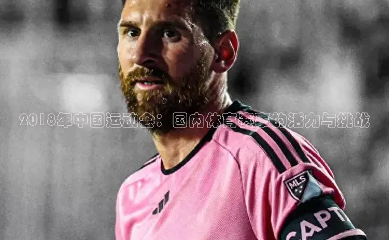2018年中国运动会：国内体育赛事的活力与挑战