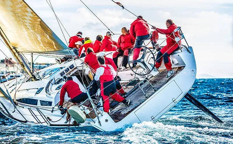 透视：体育竞技场外的经济价值与未来趋势——一项全面运动赛事收益分析报告