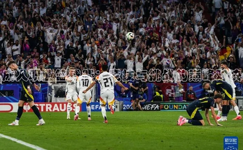 成人职业篮球赛：竞技与挑战的巅峰对决