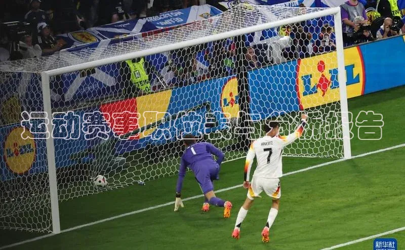 运动赛事职位表与分析报告