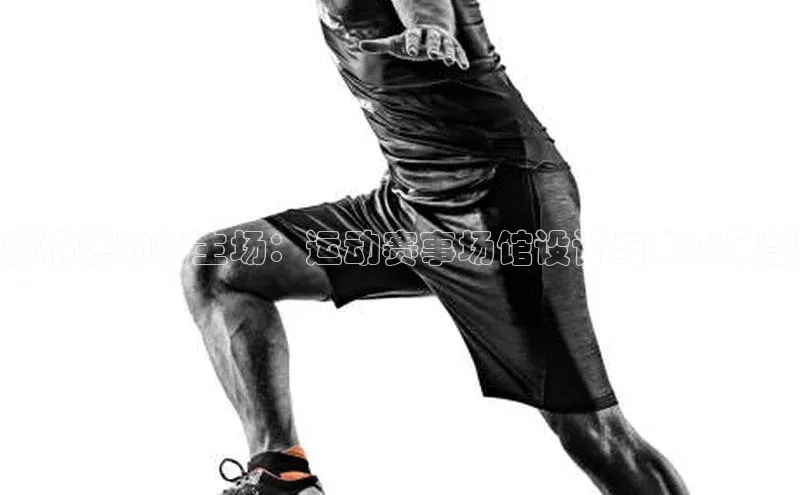 激情燃动的主场：运动赛事场馆设计与未来展望