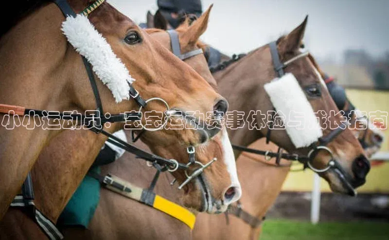 beat365 手机版官方网站