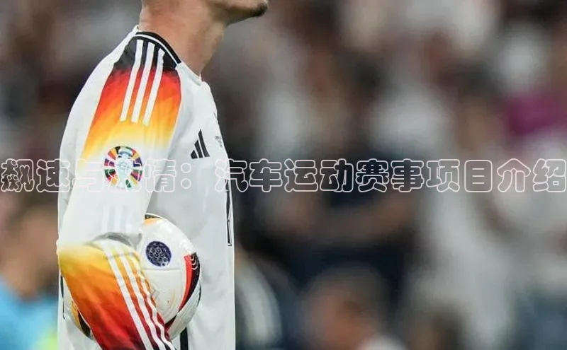 飙速与激情：汽车运动赛事项目介绍