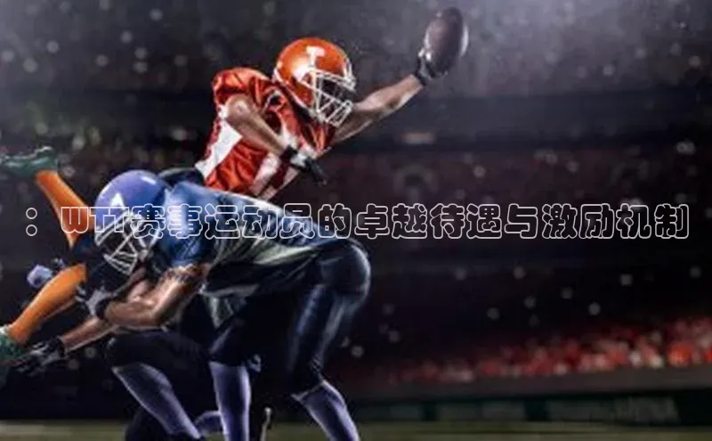 ：WTT赛事运动员的卓越待遇与激励机制